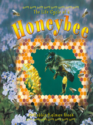cover image of The Life Cycle of a Honeybee